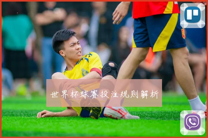 世界杯球赛投注规则解析
