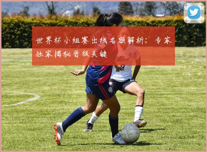 世界杯小组赛出线名额解析：专家独家揭秘晋级关键