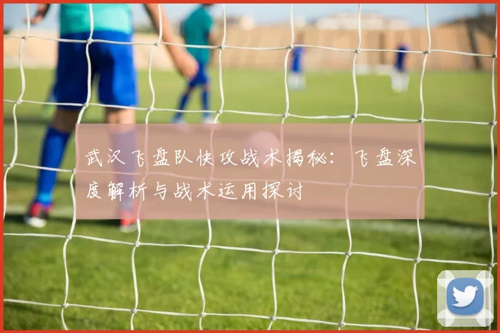 武汉飞盘队快攻战术揭秘:飞盘深度解析与战术运用探讨