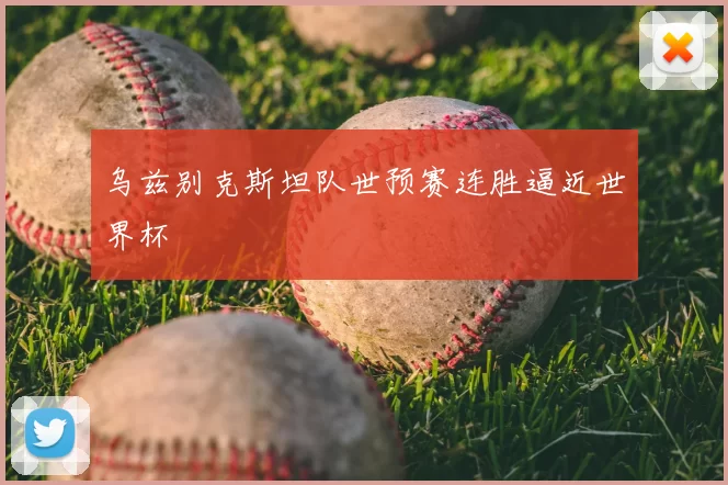 乌兹别克斯坦队世预赛连胜逼近世界杯