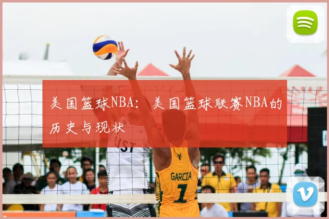 美国篮球NBA:美国篮球联赛NBA的历史与现状