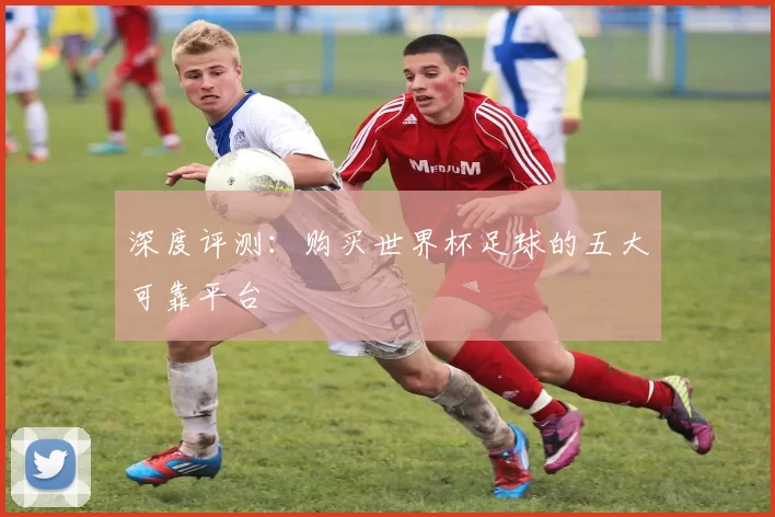 深度评测：购买世界杯足球的五大可靠平台