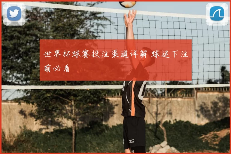 世界杯球赛投注渠道详解 球迷下注前必看