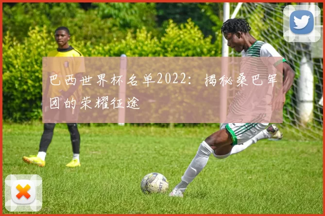 巴西世界杯名单2022:揭秘桑巴军团的荣耀征途