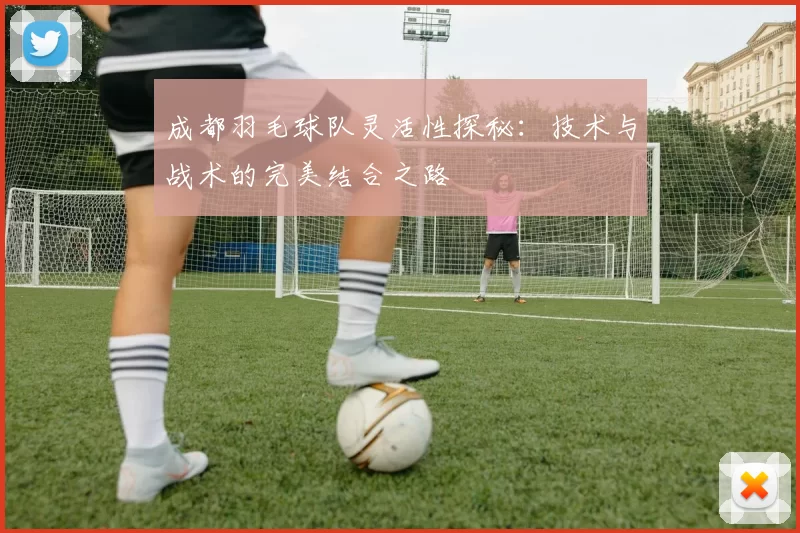 成都羽毛球队灵活性探秘：技术与战术的完美结合之路