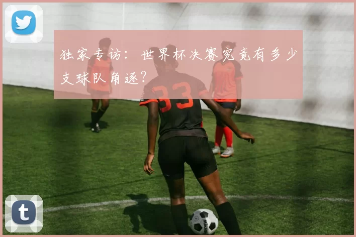 独家专访:世界杯决赛究竟有多少支球队角逐?