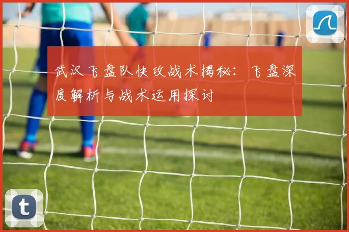 武汉飞盘队快攻战术揭秘：飞盘深度解析与战术运用探讨