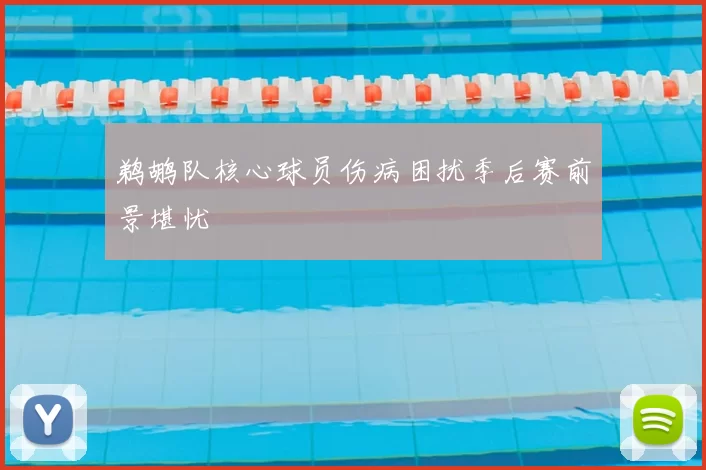 鹈鹕队核心球员伤病困扰季后赛前景堪忧