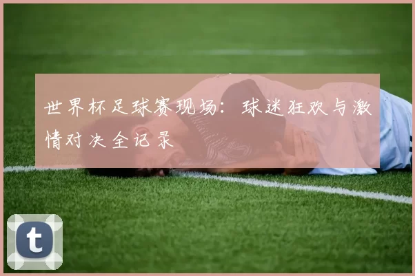 世界杯足球赛现场:球迷狂欢与激情对决全记录