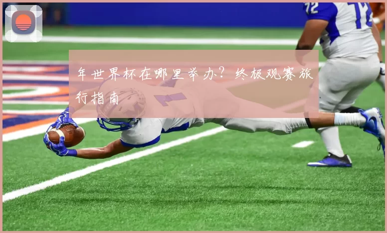年世界杯在哪里举办?终极观赛旅行指南